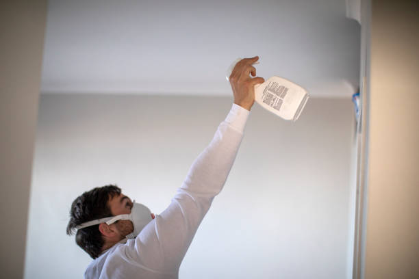 Best Crawl Space Mold Removal  in Hideo, UT