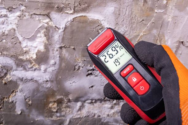 Best Mold Removal Company Near Me  in Hideo, UT
