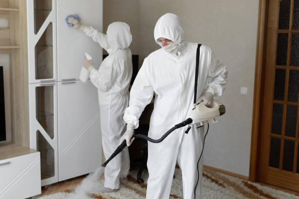 Best Mold Cleaning Services  in Hideo, UT